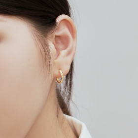 S925纯银韩版简约时尚圆锆镶钻弯钩造型耳环
