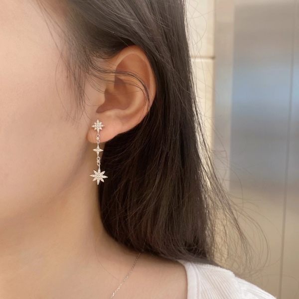 S925纯银小众轻奢白色圆锆微镶六芒星百搭耳环流苏